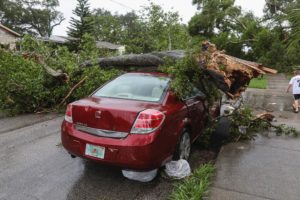 vehicle damage in florida 